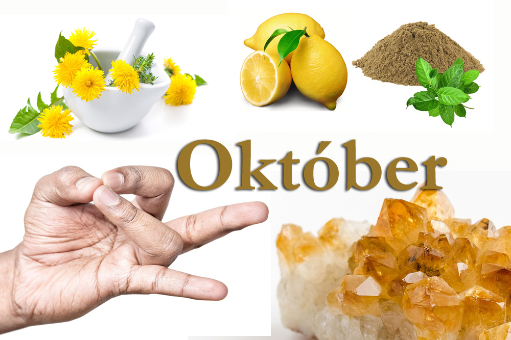 Október – élvezzük élet színeit, ízeit